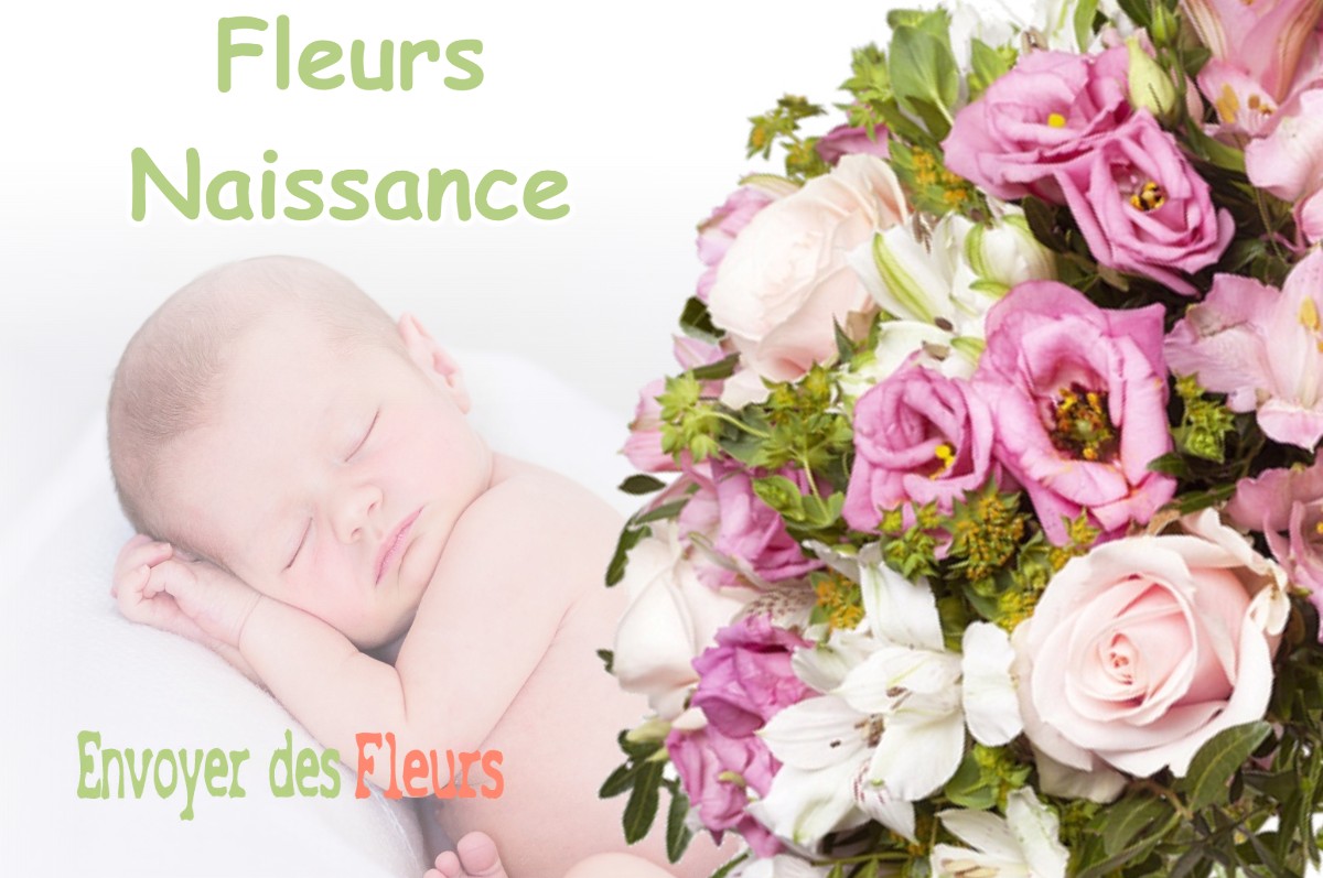 lIVRAISON FLEURS NAISSANCE à ROQUESTERON-GRASSE